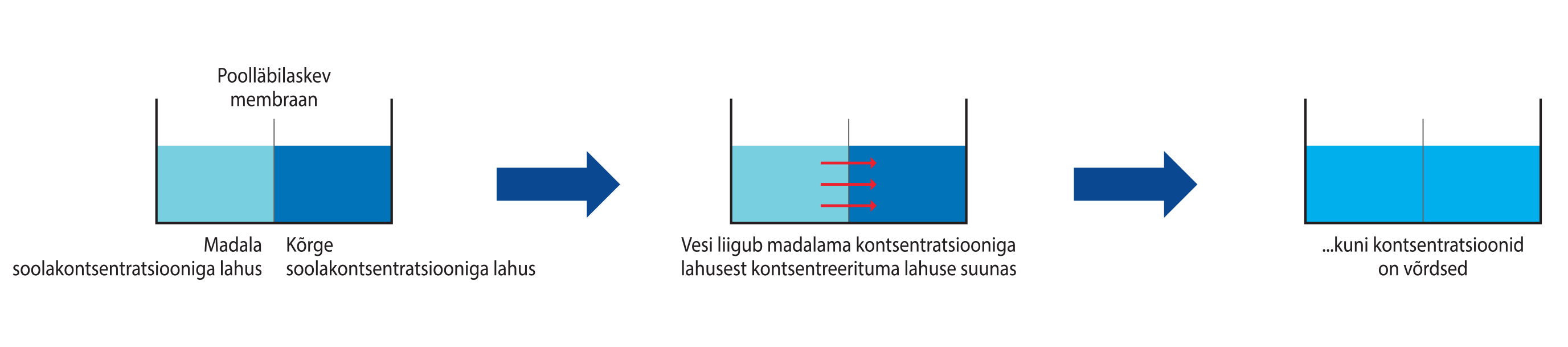 Schema-Estonia